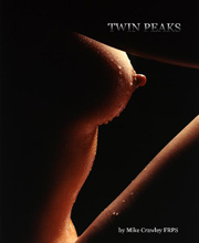Twin Peaks Book Cover